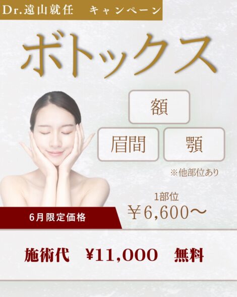 プロモーション内容