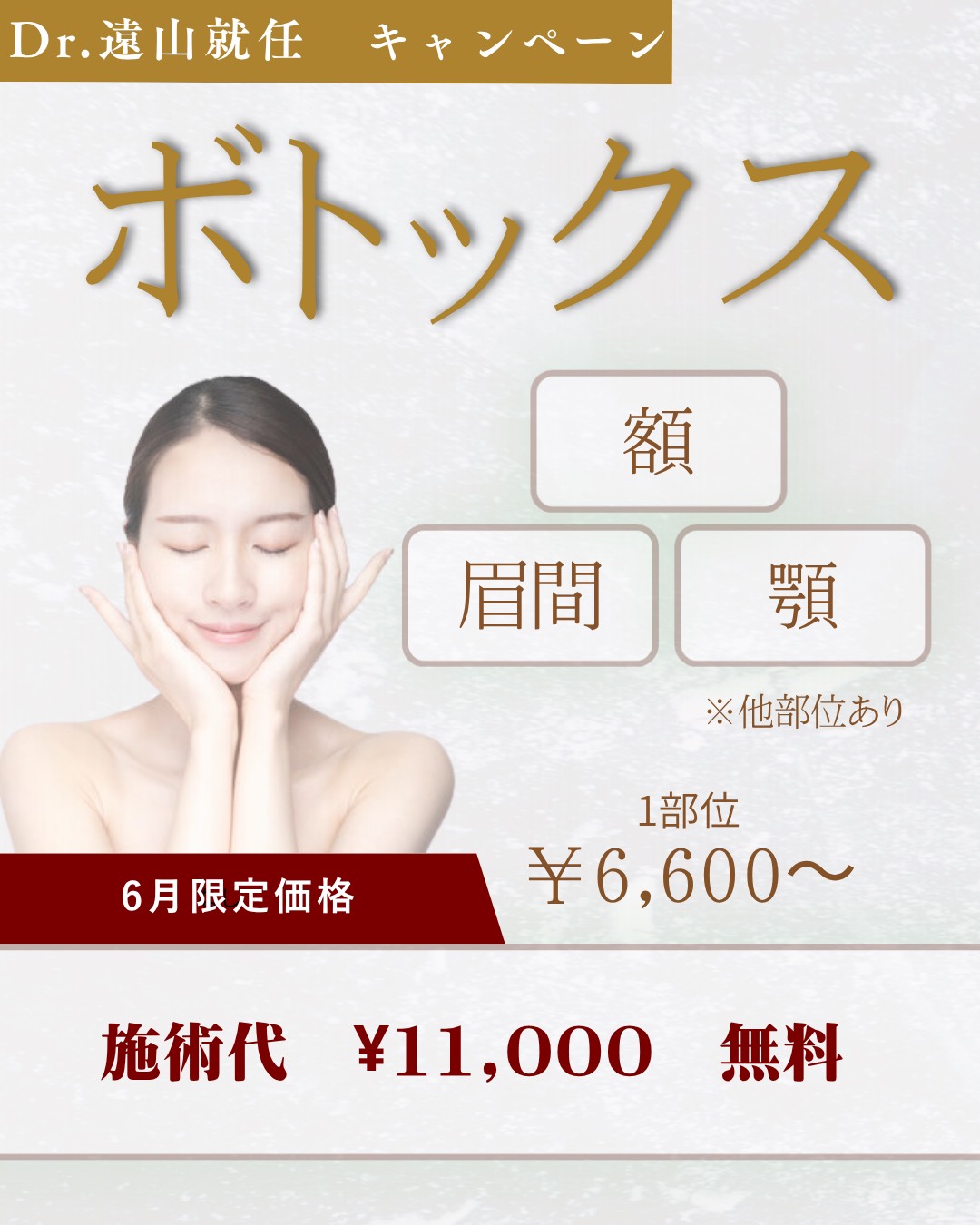 プロモーション内容